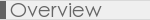 Company Overview